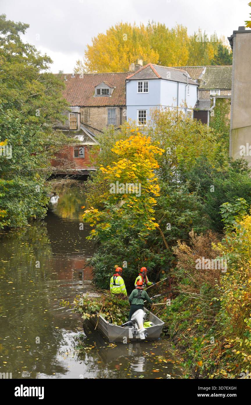 Da una barca in alluminio i lavoratori che tagliano il fogliame lungo la riva del fiume Frome nel centro della città di quel nome con la brid Foto Stock