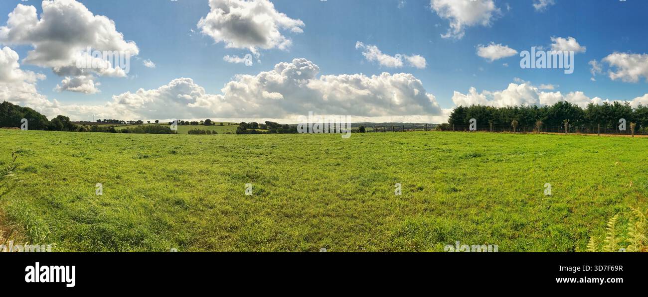 Ampia vista panoramica con vivaci campi verdi, alberi sparsi e cielo blu adornato da nuvole, catturati in un formato panoramico. Foto Stock
