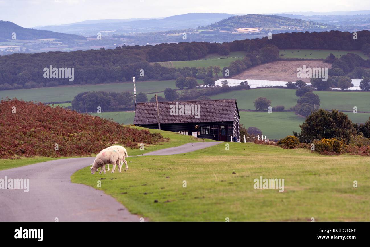 Kington Golf Club, Bradnor Hill, Kington, Herefordshire, Inghilterra, Regno Unito - il campo da golf a 18 buche più alto d'Inghilterra - vista generale del campo Foto Stock