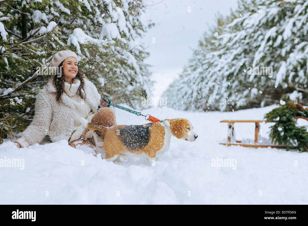 La giovane donna sorridente gioca con il suo beagle al guinzaglio in una foresta innevata mentre la neve vola, la slitta e la corona sempreverde creano l'atmosfera delle vacanze Foto Stock