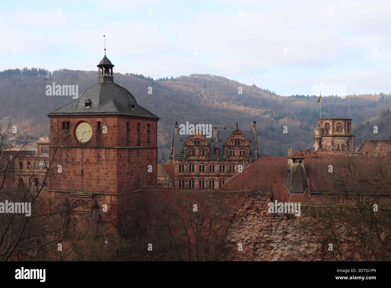 Castello di Heidelberg che mostra un mix di stili architettonici a Heidelberg, Baden-Württemberg, Germania Foto Stock