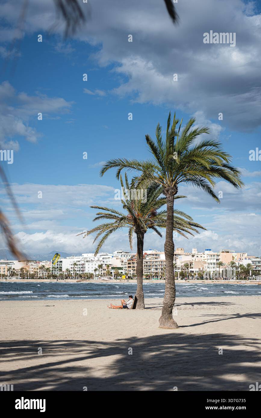 Momenti tranquilli su una spiaggia ventilata di Maiorca, palme, sabbia e la città oltre Foto Stock
