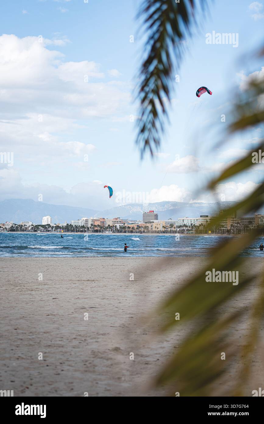 Momenti tranquilli su una spiaggia ventilata di Maiorca, palme, sabbia e la città oltre Foto Stock