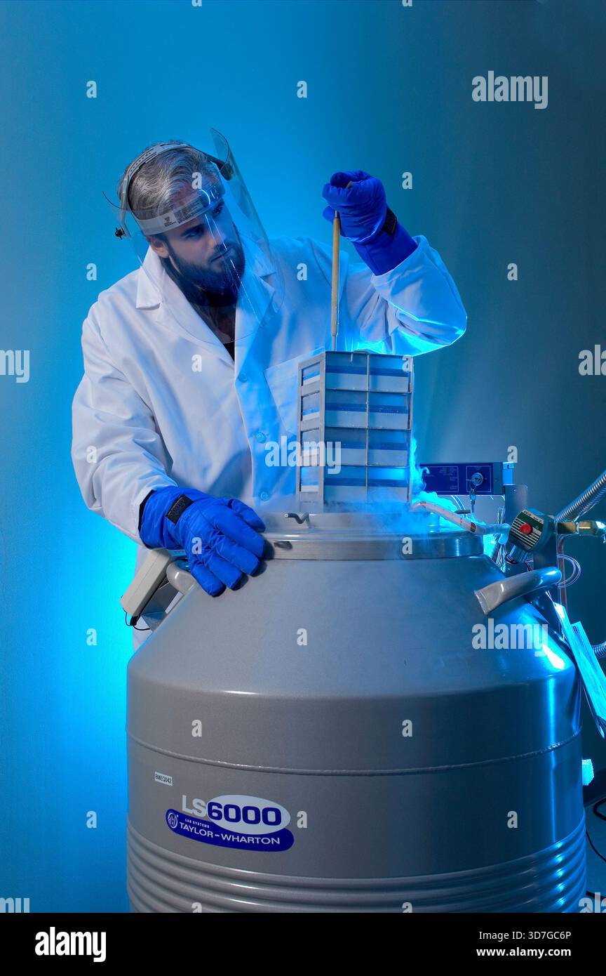 Tecnico di laboratorio maschile che lavora con azoto liquido in laboratorio, New Jersey USA Foto Stock