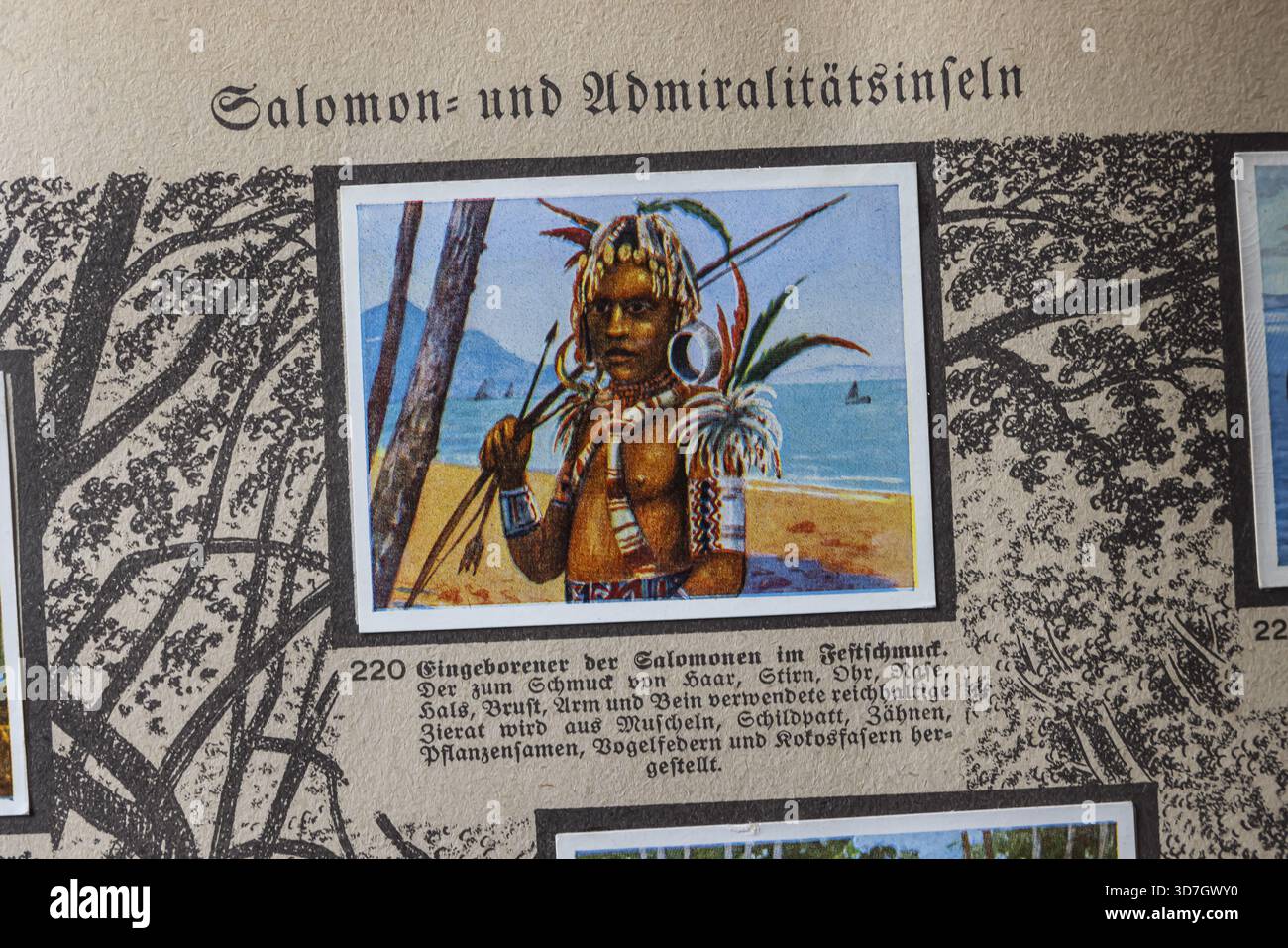 Colonie tedesche. Isole Salomone e dell'Ammiragliato. Isole Salomone nate nella decorazione festiva. Un'antologia pubblicata da Cigaretten-Bilderdienst Dresde Foto Stock