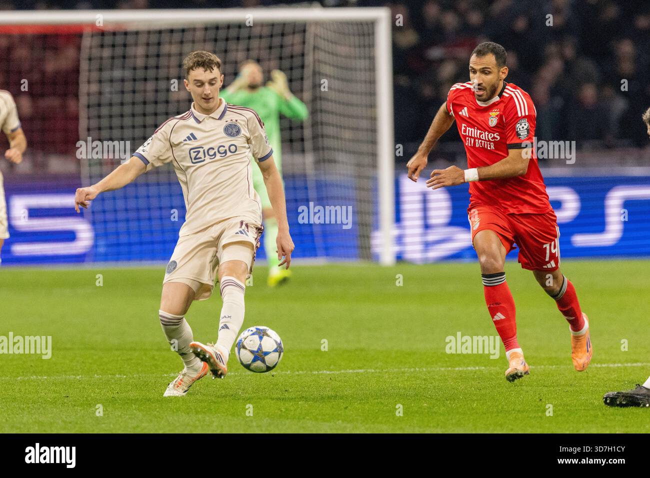 Mika Godts visto durante la fase di Champions League tra AFC Ajax e SL Benfica (Maciej Rogowski/Ball Raw Images) Foto Stock