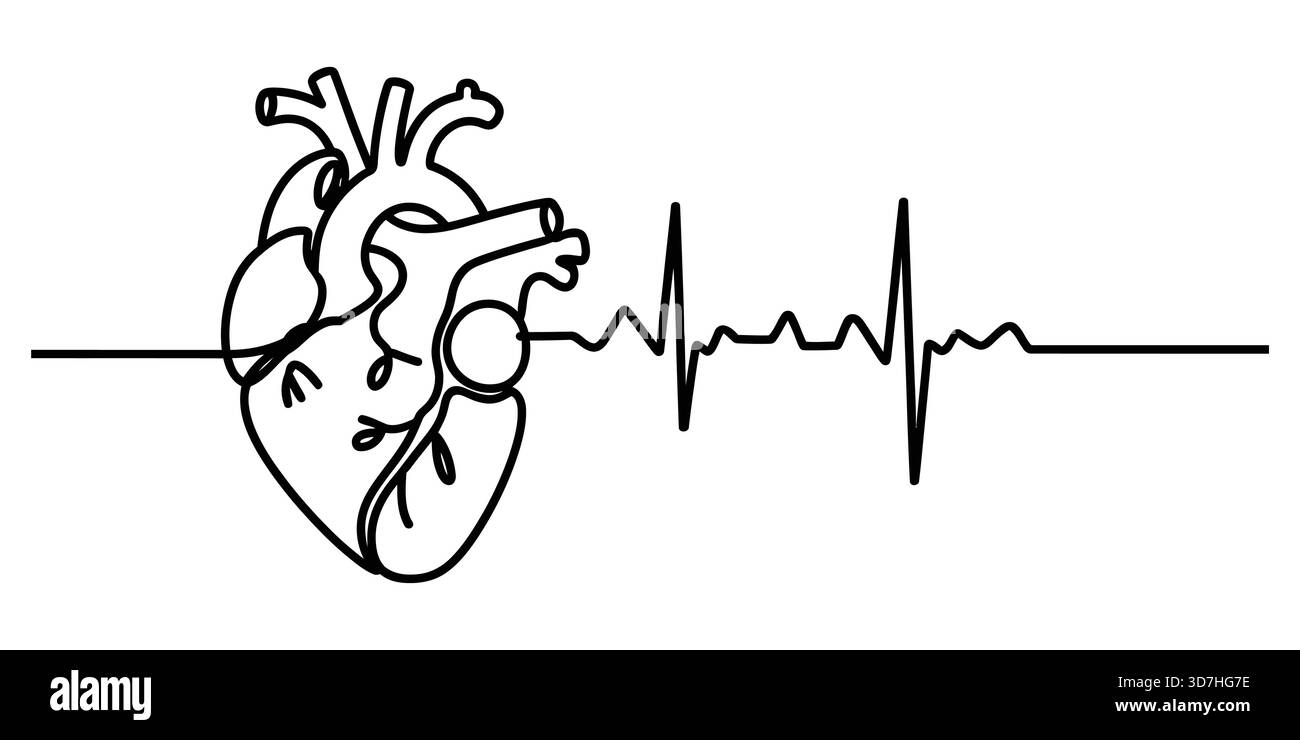 Disegno in linea continua del cuore umano con forma d'onda ecg Illustrazione Vettoriale