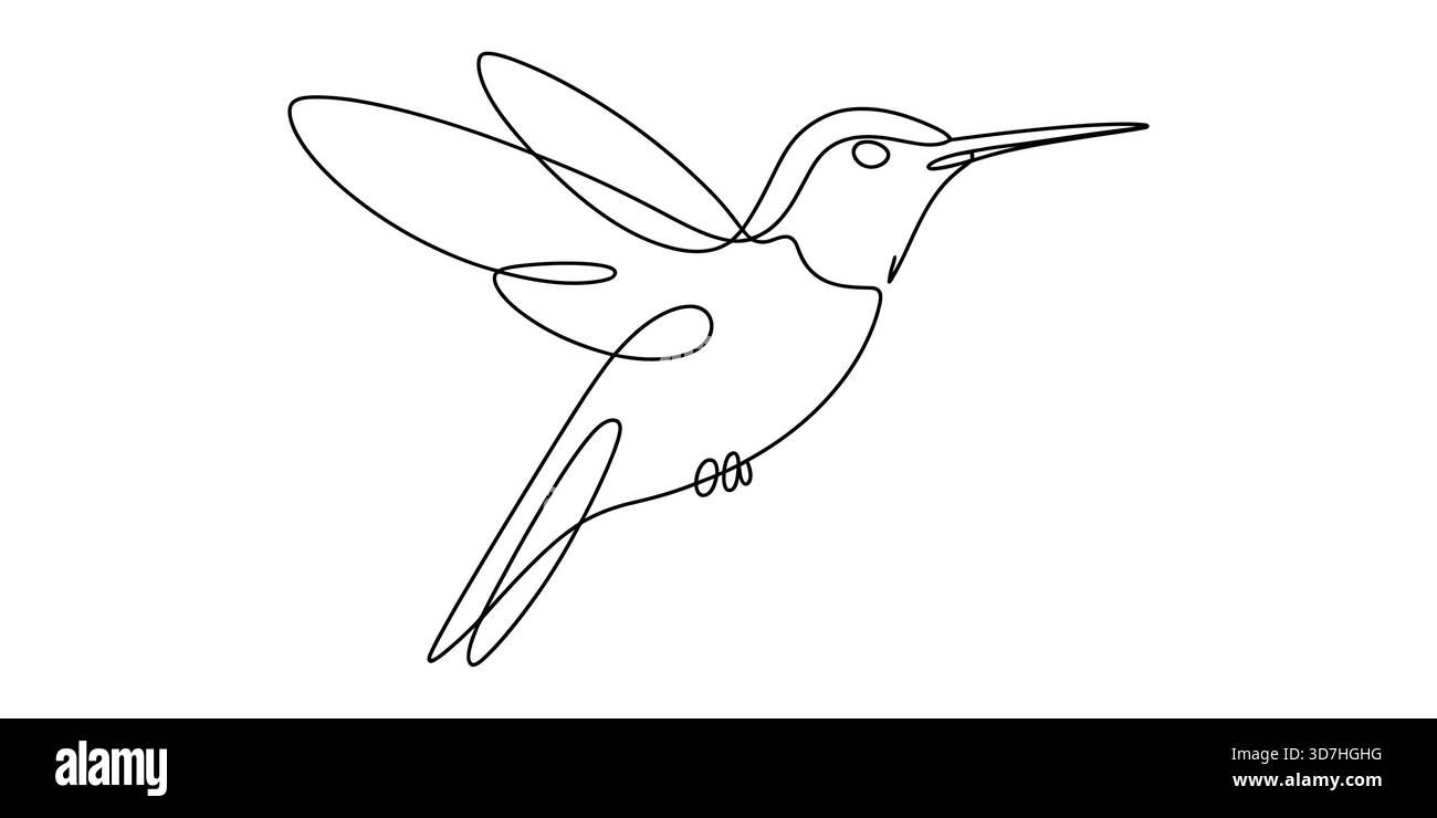 Elegante colibrì in volo, disegno vettoriale a linea continua Illustrazione Vettoriale