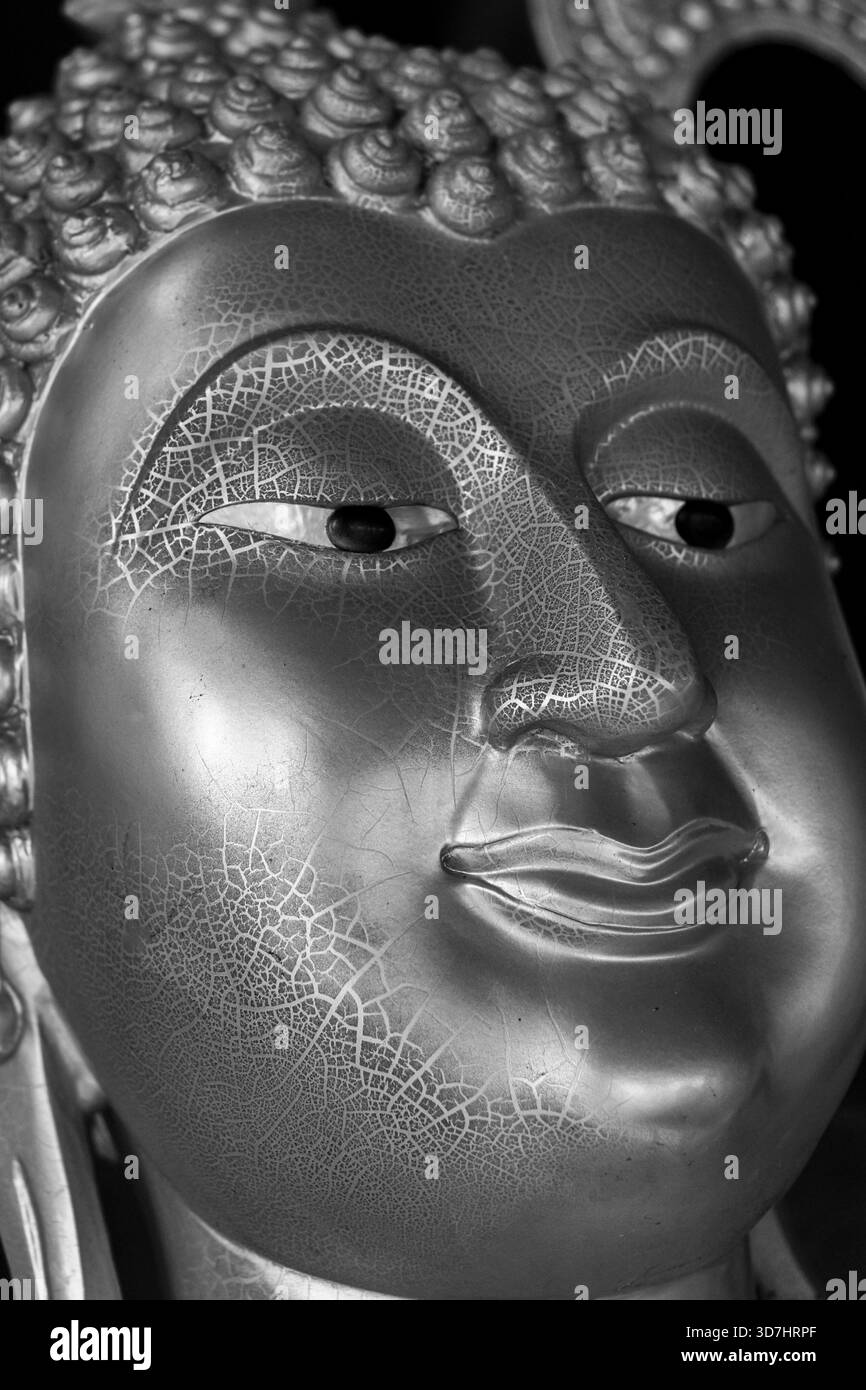 Sereno e pacifico primo piano bianco e nero della statua di Buddha. Questa immagine spirituale mostra un'espressione calma, perfetta per la meditazione e la religione co Foto Stock