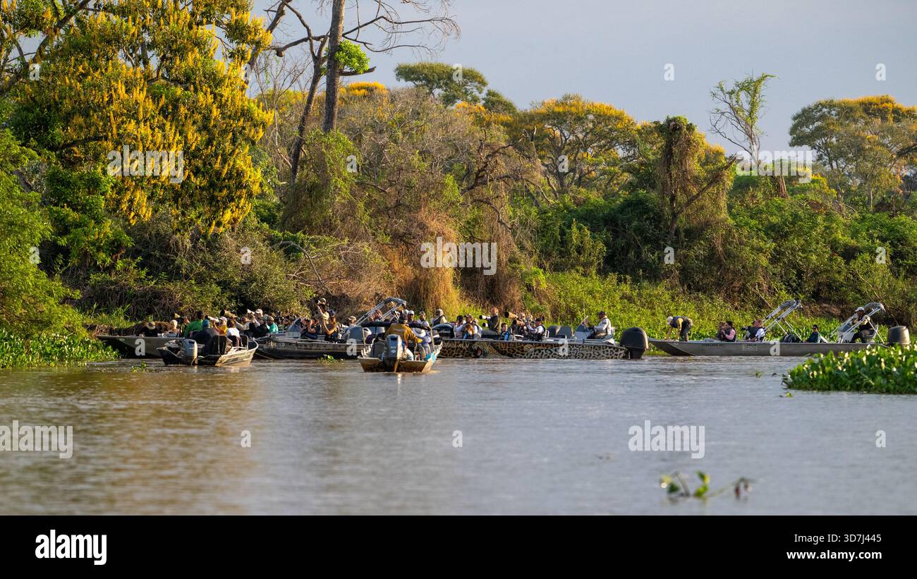 Molte barche da safari a Pantanal, Brasile Foto Stock