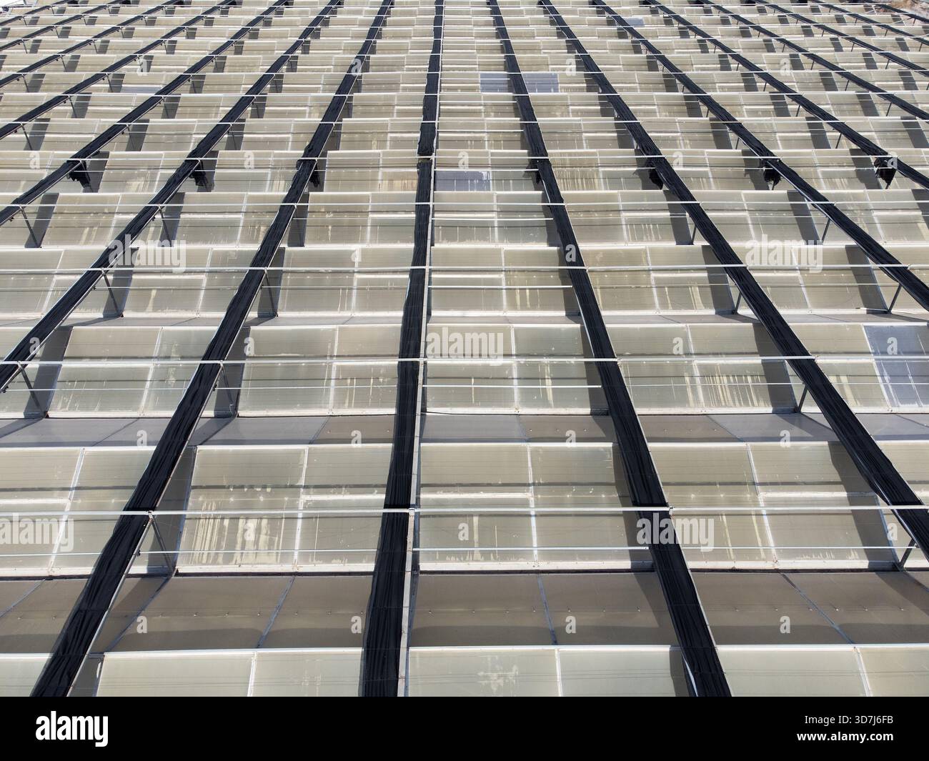 Tetto in vetro della moderna serra agricola Foto Stock