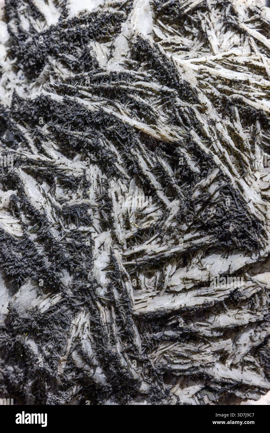 Goethite su campione minerale di gesso, cristalli di goethite acicolare neri incorporati in una matrice di gesso bianca fotografati in dettaglio che mostrano tex fibroso stratificato Foto Stock