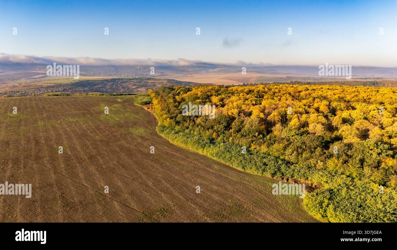 Vista aerea con droni della foresta di Ciurbești in autunno, vicino a Iași, Romania, catturata in una giornata limpida. Foto Stock