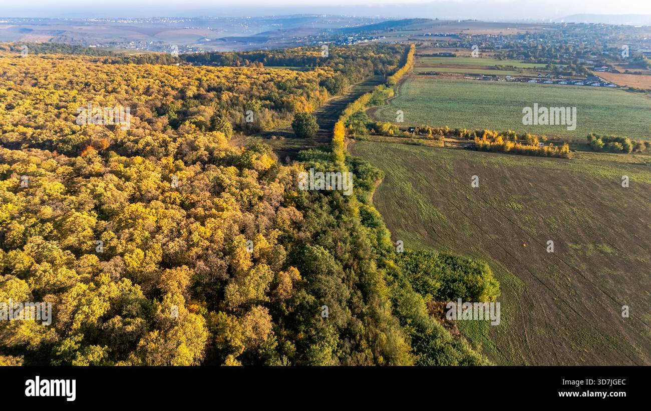 Vista aerea con droni della foresta di Ciurbești in autunno, vicino a Iași, Romania, catturata in una giornata limpida. Foto Stock