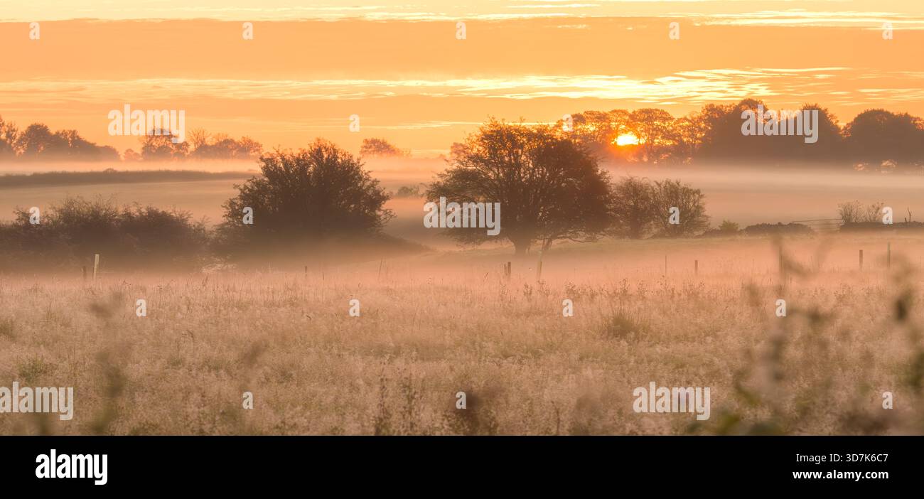 La mattina presto nebbia attraversa i campi all'alba sui livelli del Somerset, con luce soffusa sull'alba sulle Mendip Hills, Inghilterra, Regno Unito Foto Stock