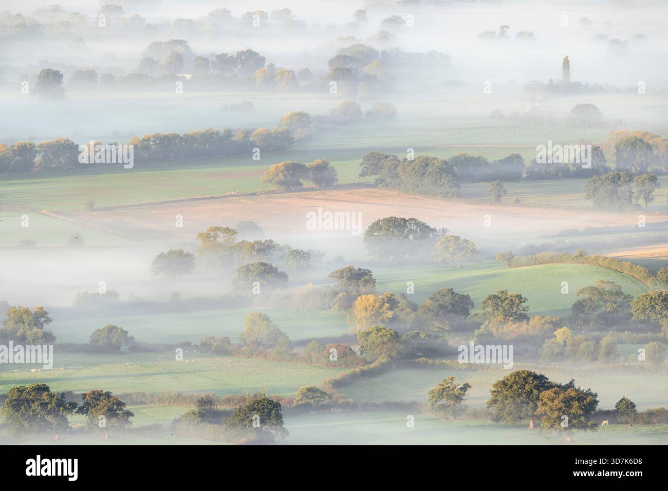 Il sole della mattina presto si infrangono attraverso la bassa nebbia sui livelli del Somerset, visto da Deer Leap sulle Mendip Hills, Inghilterra, Regno Unito. Foto Stock