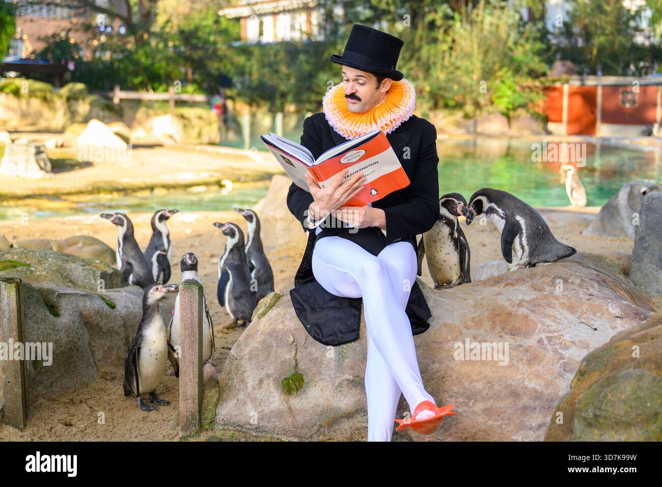 Londra, Regno Unito. 26 novembre 2025. Il comico Garry Starr ospita il primo club di libri di pinguini al mondo allo Zoo di Londra. È affiancato da Humboldt Penguins Kermit, Marley, lorde e Friends per una lettura di Frankenstein di Mary Shelley. Il suo spettacolo "Garry Starr: Classic Penguins" è attualmente in esecuzione presso l'Arts Theatre e verrà trasferito al Garrick Theatre il 1° febbraio 2026. Il credito fotografico dovrebbe essere: Matt Crossick/Empics/Alamy Live News Foto Stock