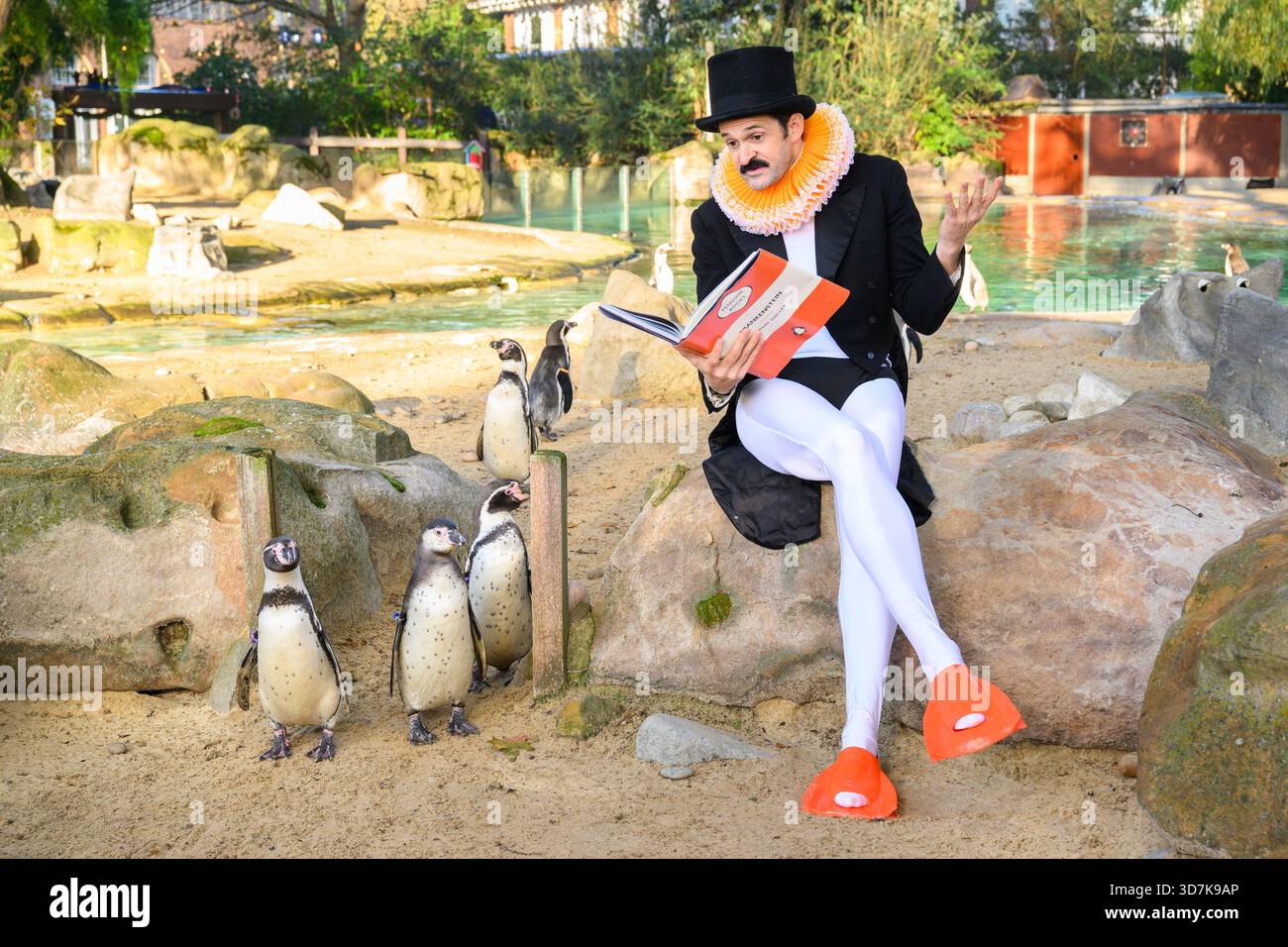 Londra, Regno Unito. 26 novembre 2025. Il comico Garry Starr ospita il primo club di libri di pinguini al mondo allo Zoo di Londra. È affiancato da Humboldt Penguins Kermit, Marley, lorde e Friends per una lettura di Frankenstein di Mary Shelley. Il suo spettacolo "Garry Starr: Classic Penguins" è attualmente in esecuzione presso l'Arts Theatre e verrà trasferito al Garrick Theatre il 1° febbraio 2026. Il credito fotografico dovrebbe essere: Matt Crossick/Empics/Alamy Live News Foto Stock