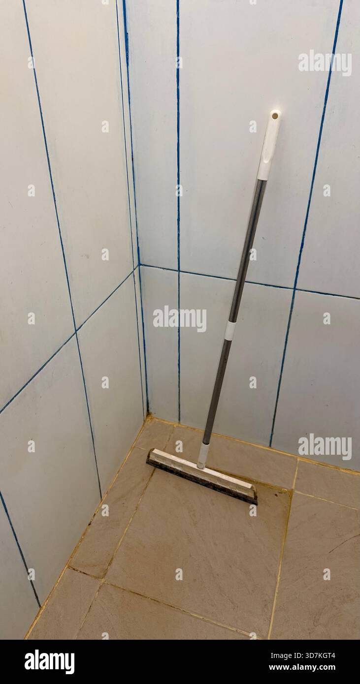 Utensile per la pulizia del lavavetri appoggiato in un angolo del bagno piastrellato Foto Stock