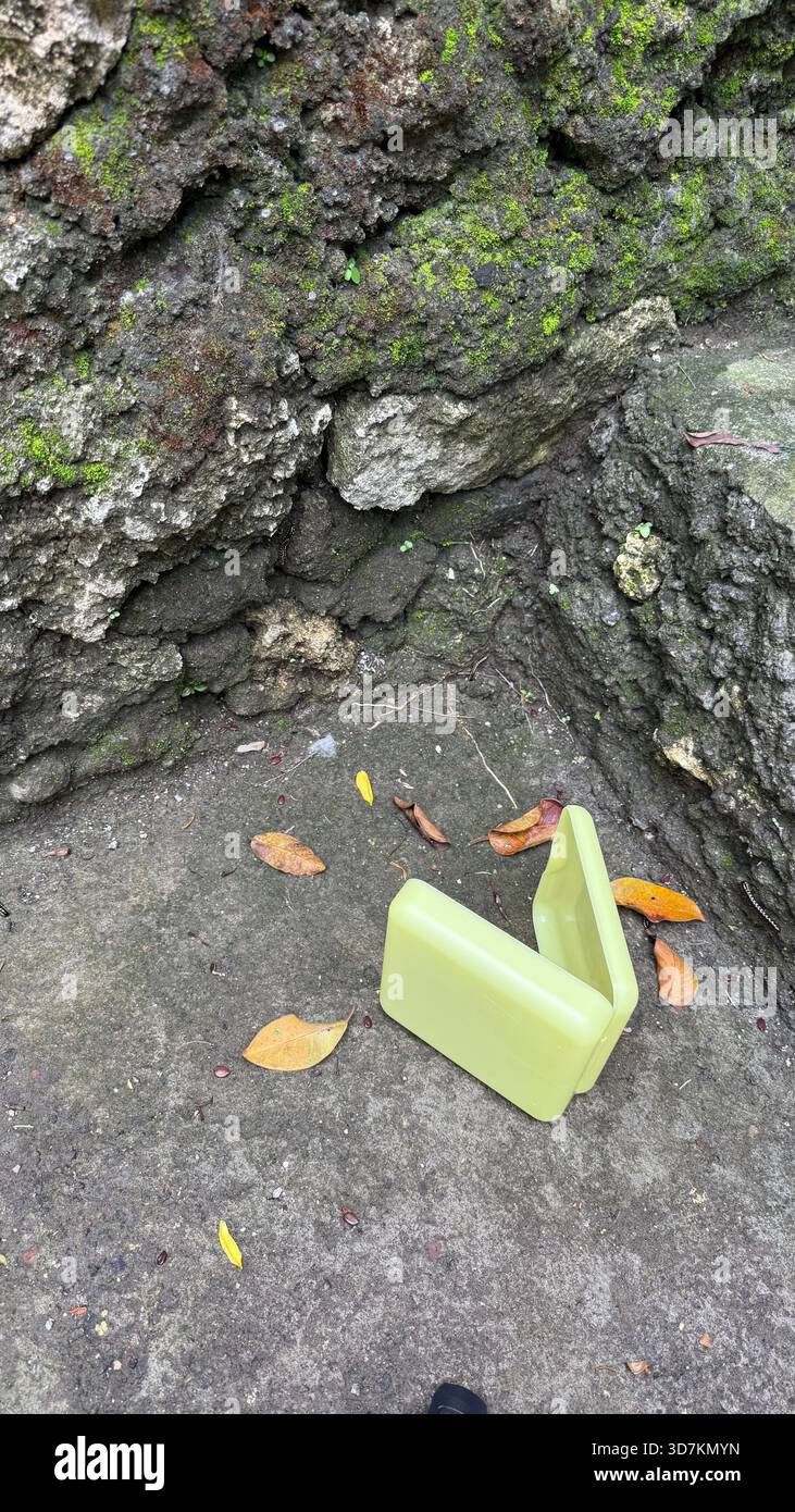 Contenitore in plastica verde chiaro aperto gettato su cemento con foglie Foto Stock