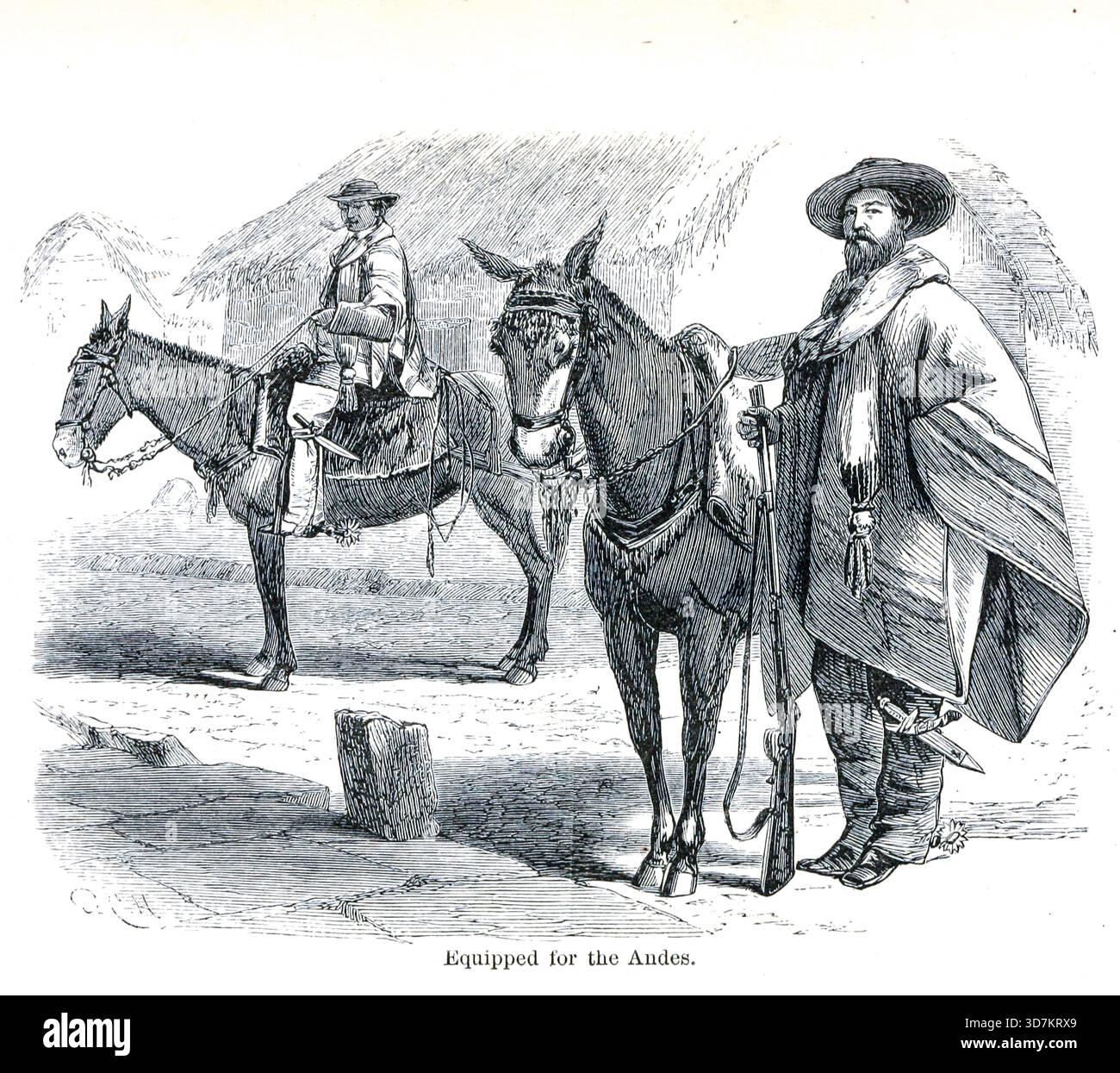 Equipaggiato per le Ande le Ande e l'Amazzonia : o, attraverso il continente del Sud America da Orton, James, 1830-1877 data di pubblicazione 1870 Foto Stock