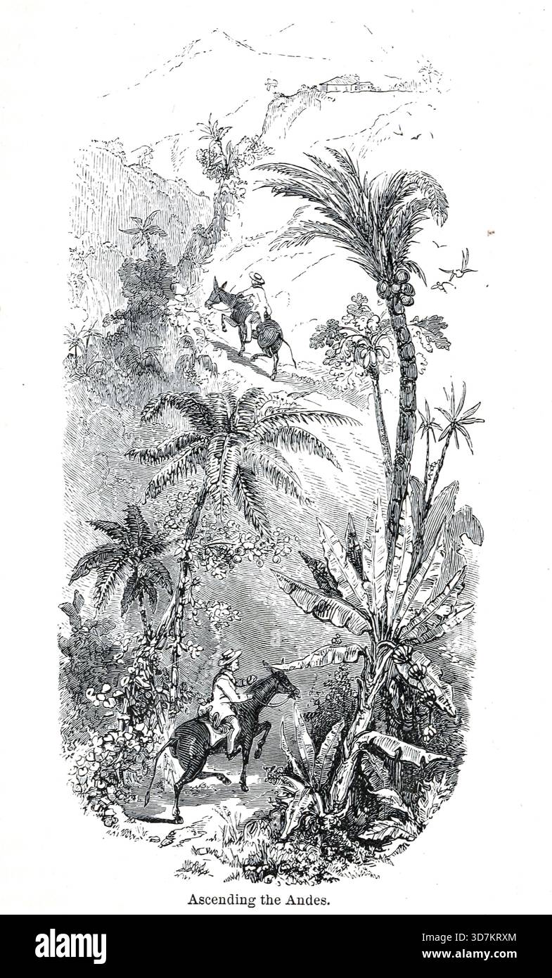 Ascending the Andes from the Andes and the Amazon : or, across the Continent of South America by Orton, James, 1830-1877 data di pubblicazione 1870 Foto Stock