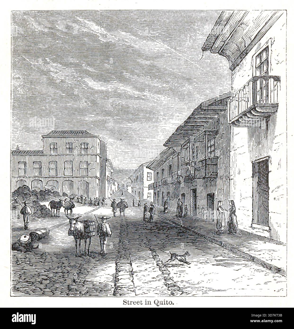 A Street in Quito from the Andes and the Amazon : or, across the Continent of South America by Orton, James, 1830-1877 data di pubblicazione 1870 Foto Stock