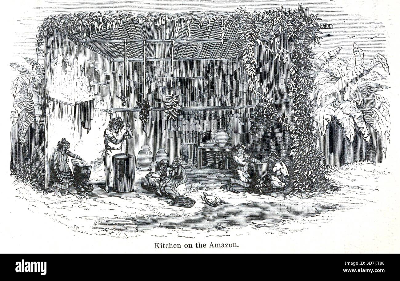 Kitchen on the Amozon from the Andes and the Amazon : or, across the Continent of South America by Orton, James, 1830-1877 data di pubblicazione 1870 Foto Stock