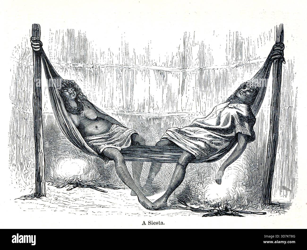 A Siesta from the Andes and the Amazon : or, across the Continent of South America by Orton, James, 1830-1877 data di pubblicazione 1870 Foto Stock