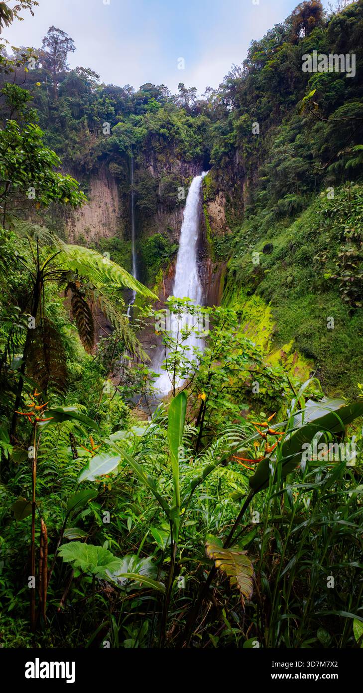 Cascata nella regione della foresta pluviale di Arenal in Costa Rica. Foto Stock