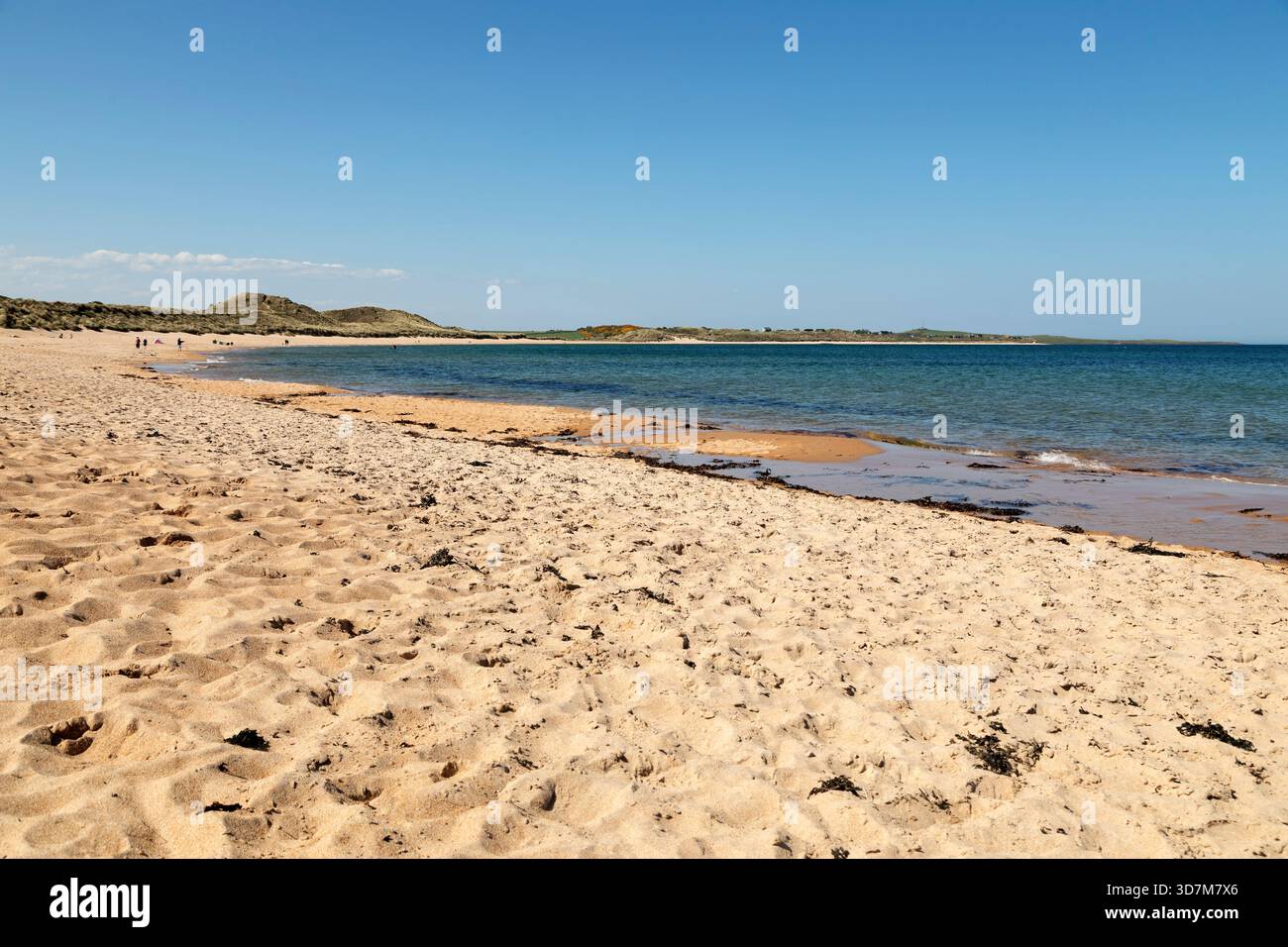 Embleton Beach a Northumberland, Inghilterra. Le dune orlano nella spiaggia, lambita dal Mare del Nord. Foto Stock