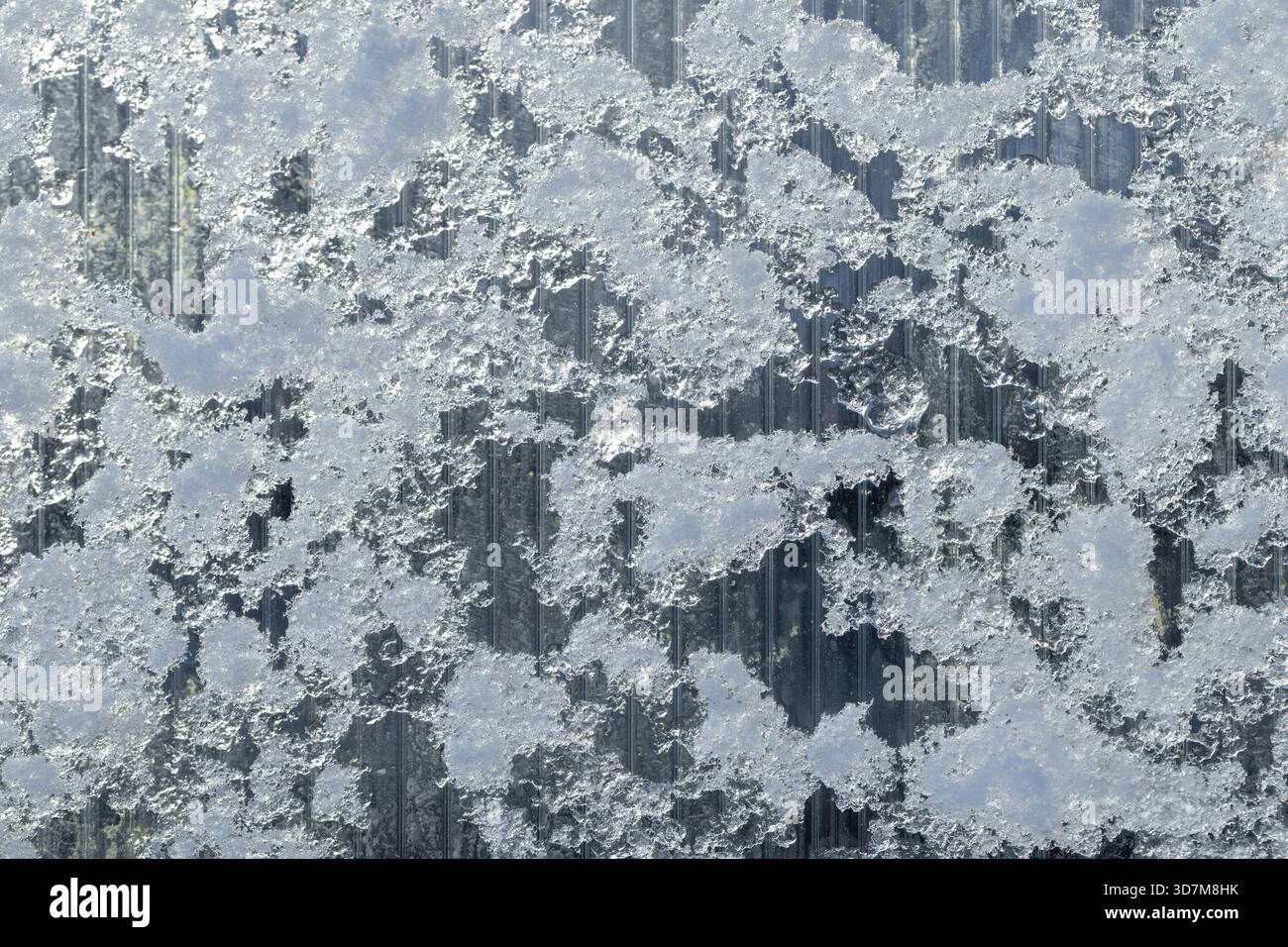 La parete della serra in policarbonato trasparente è ricoperta da ghiaccio e neve, texture astratta di sfondo invernale Foto Stock