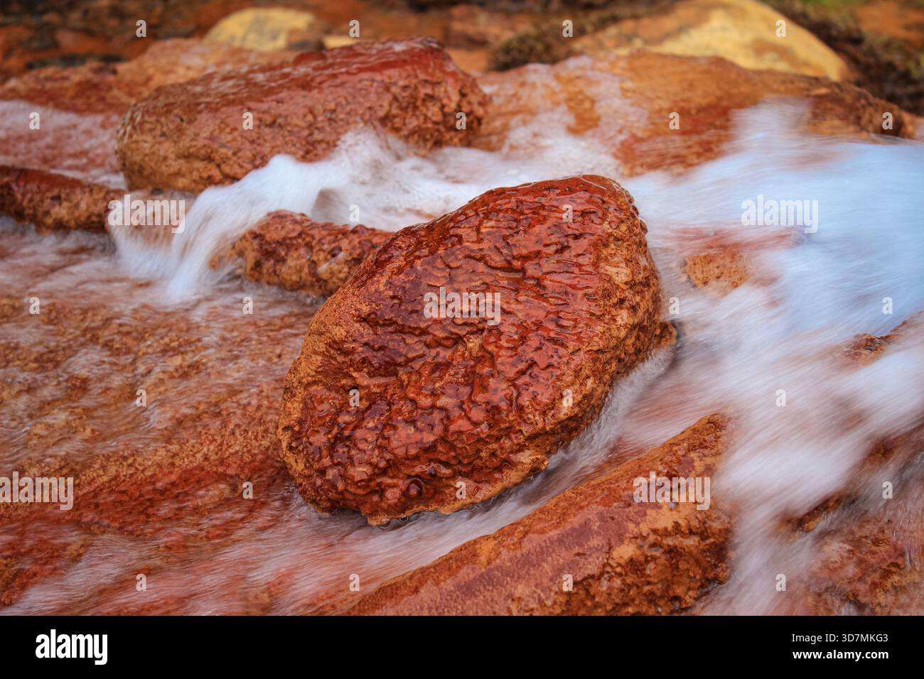 Questo primo piano di una pietra adagiata contro il vigoroso flusso di una sorgente minerale mostra una miscela unica di colori e texture. Il colore rosso della pietra è alto Foto Stock