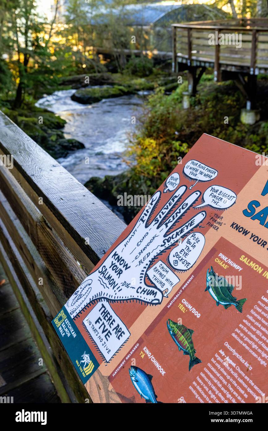 Insegna didattica che illustra i cinque tipi di salmone sulla passeggiata lungo il Ketchikan Creek a Ketchikan, Alaska, USA Foto Stock