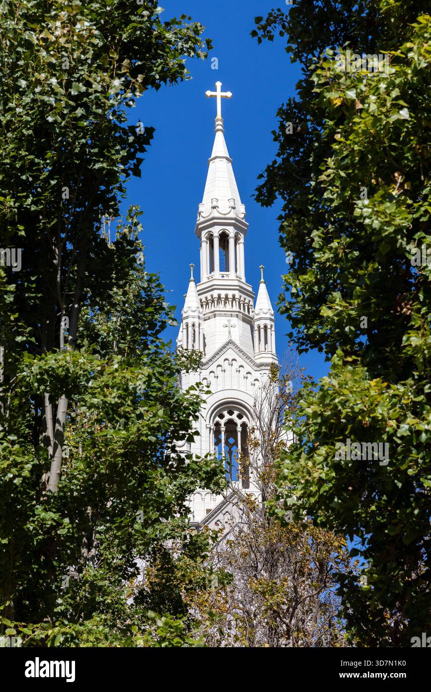 Veduta della Chiesa dei Santi Pietro e Paolo da Washington Square Park, quartiere di North Beach - San Francisco, California, USA Foto Stock
