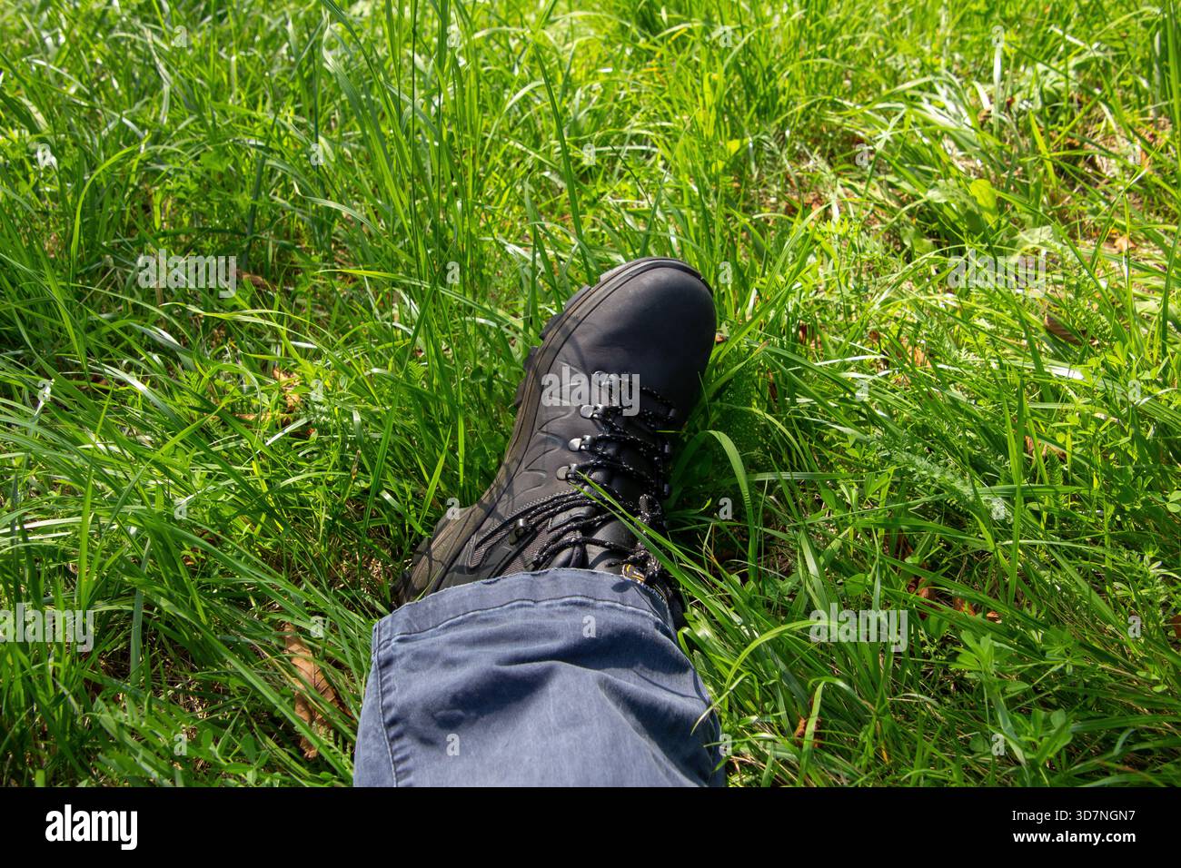 Una gamba con scarpa da passeggio Foto Stock