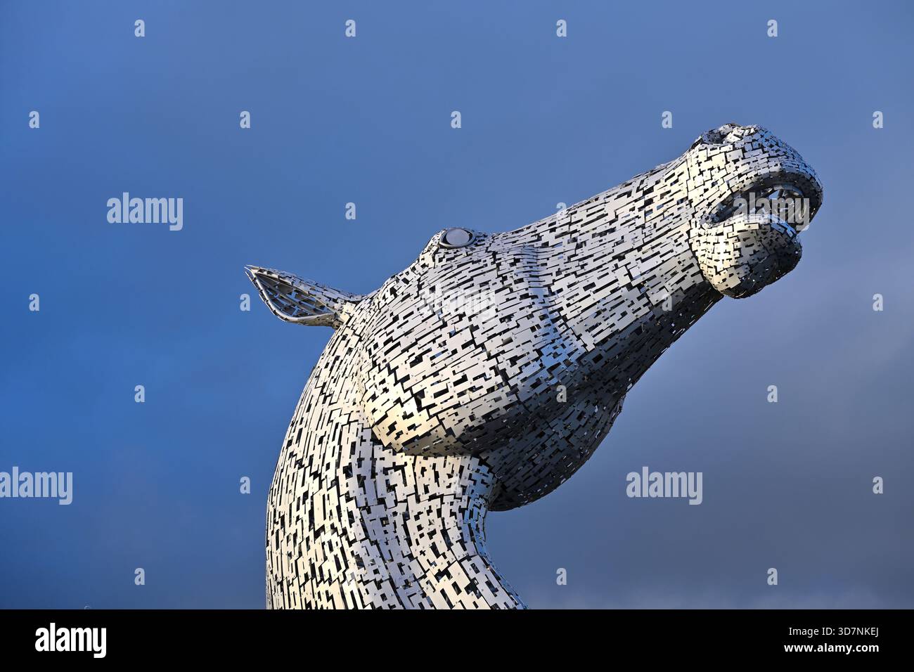 Barone uno dei Kelpies, opera d'acciaio di due enormi teste di cavallo a Helix Park, alla luce della sera autunnale della Scozia a novembre Foto Stock