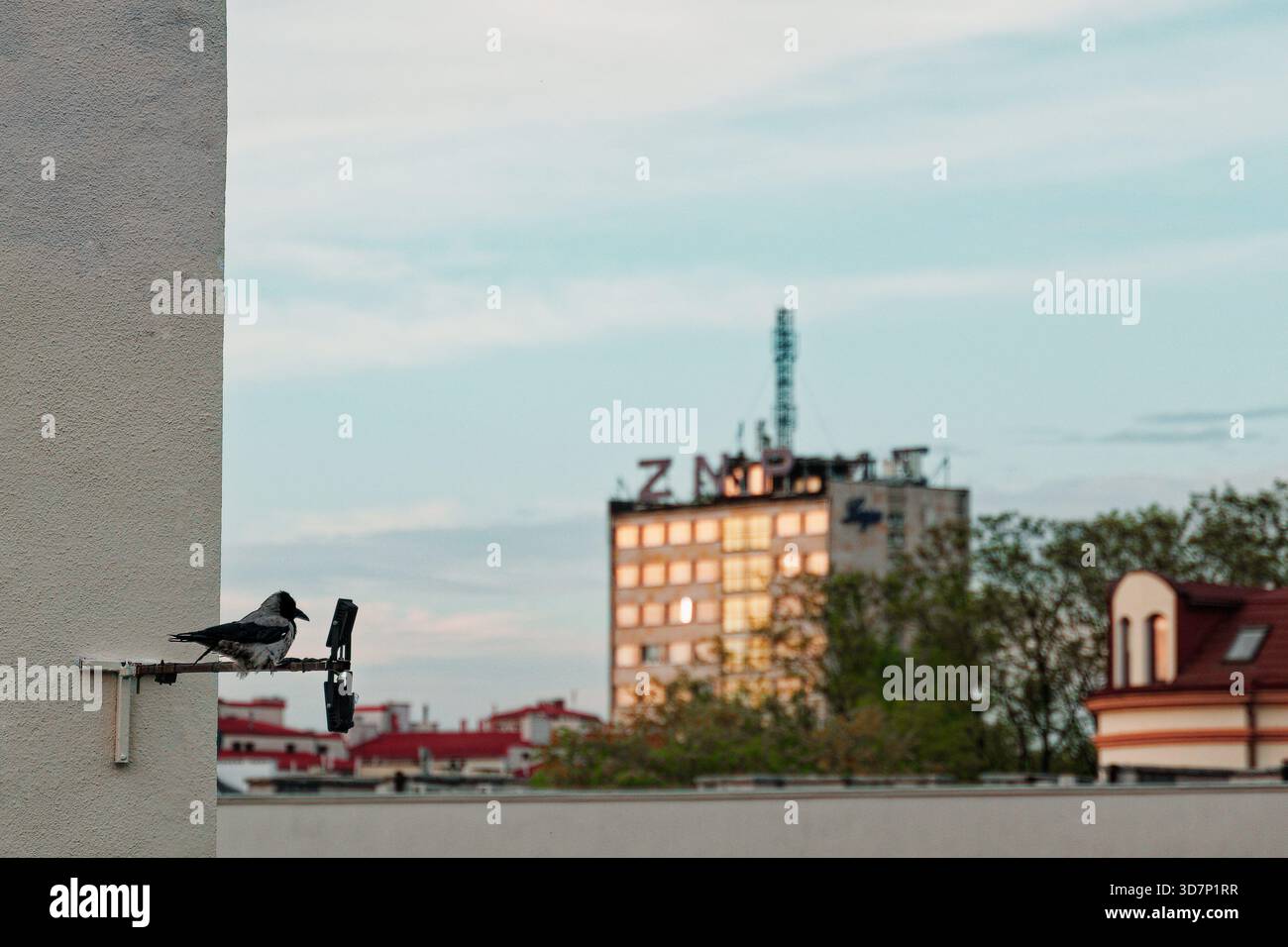 Scena urbana con un corvo appollaiato su un'antenna montata a parete, affacciato su un edificio lontano con finestre riflettenti e un cielo nebuloso Foto Stock