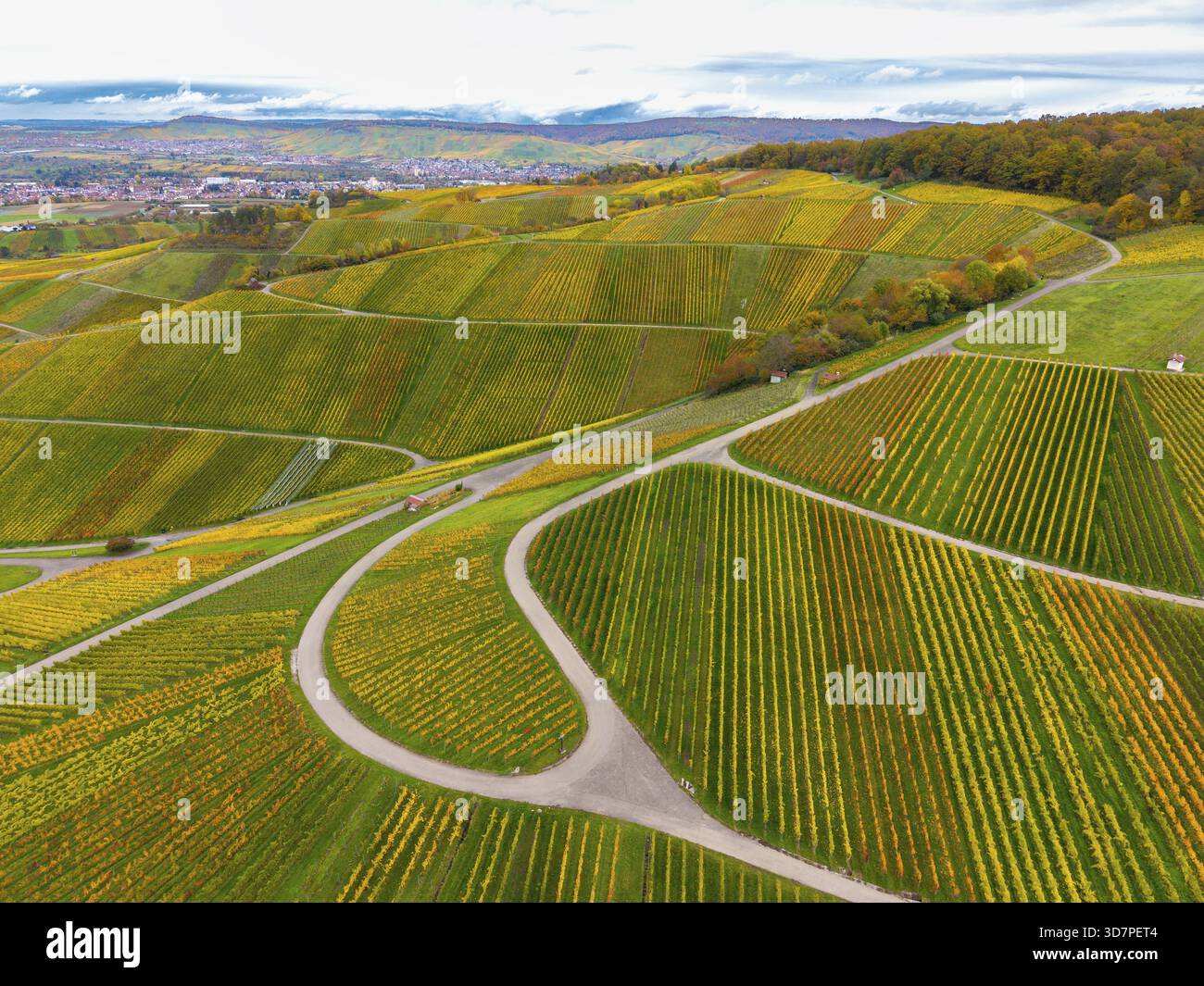 Vigneti autunnali simili a scacchiera con sentieri tortuosi sotto un cielo nuvoloso, vicino a Struempfelbach im Remstal, Rems-Murr-Kreis, Baden-Wuerttemberg, tedesco Foto Stock
