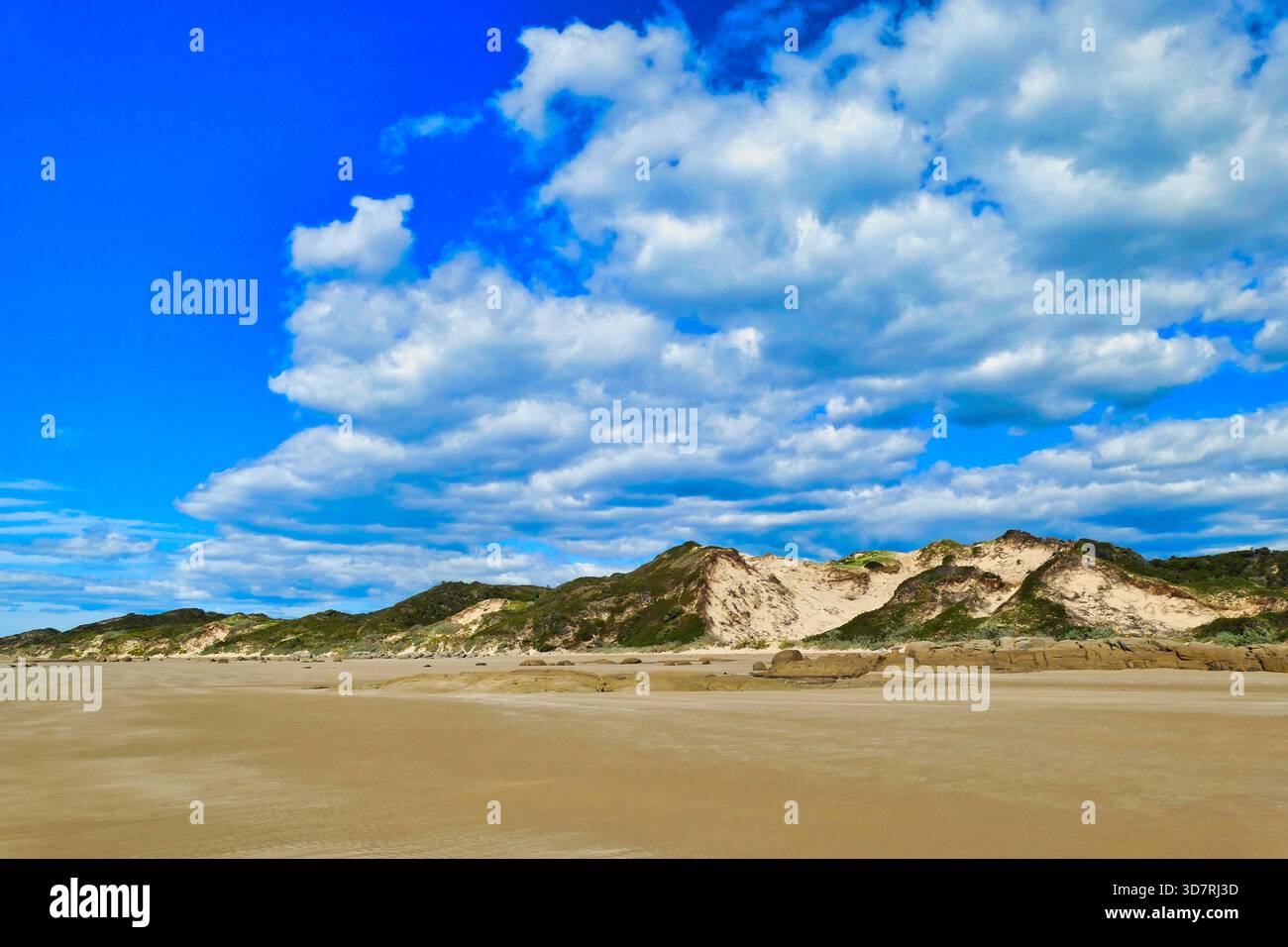 Dune di sabbia nella remota e deserta spiaggia di Waterhouse Conservation area, Tasmania nord-orientale, Australia Foto Stock