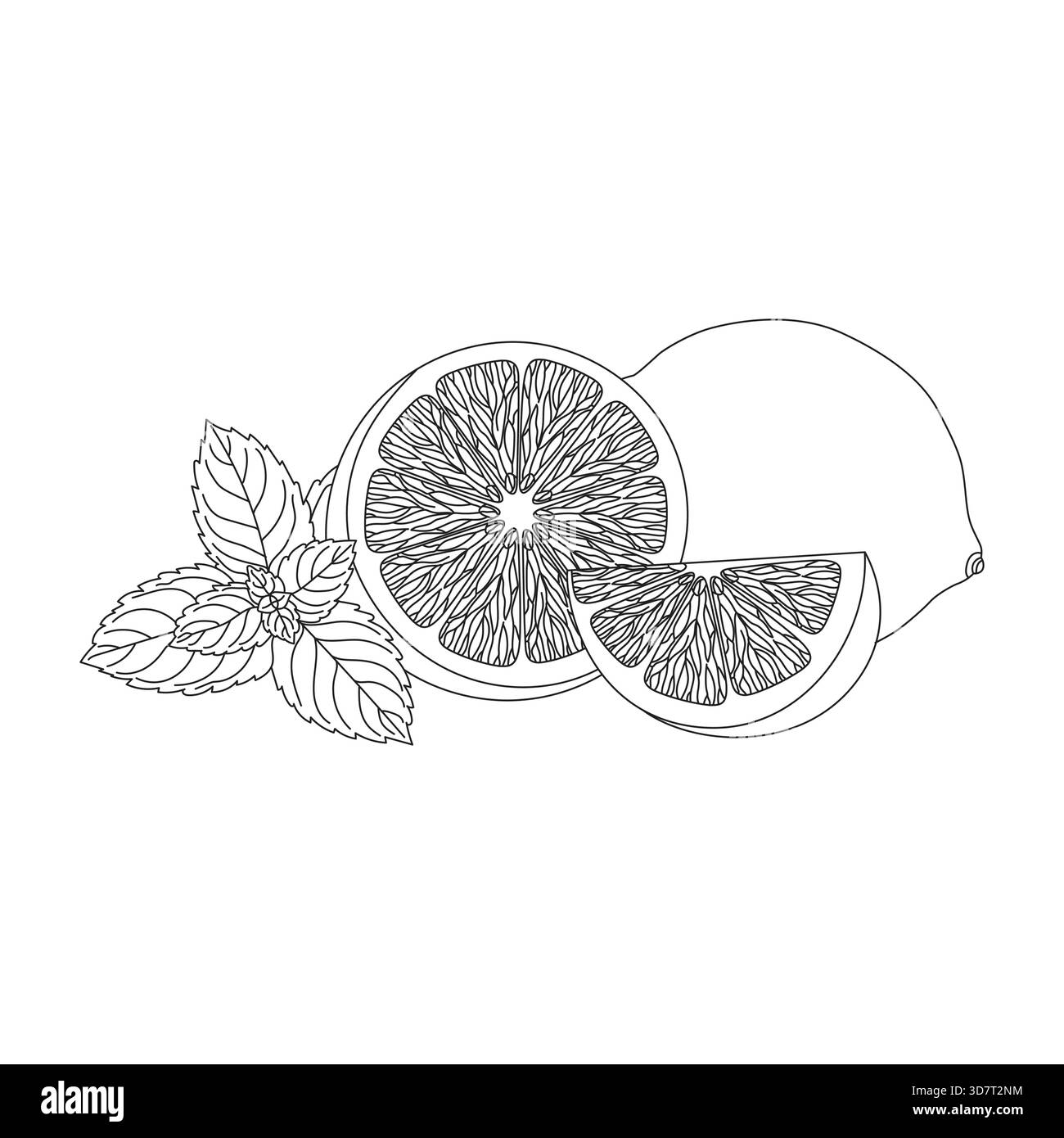 Disegno in linea di fette di limone e foglie di menta Illustrazione Vettoriale