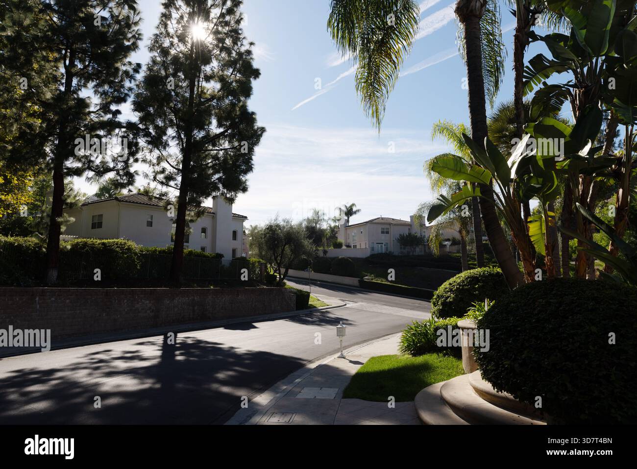 Tranquilla strada suburbana con palme e case a Chatsworth, California Foto Stock