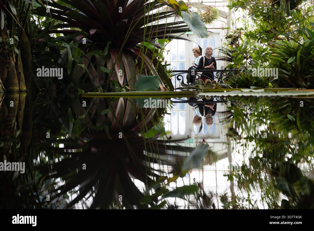 Visitatori della piscina Reflection all'interno del Conservatory of Flowers, Golden Gate Park Foto Stock