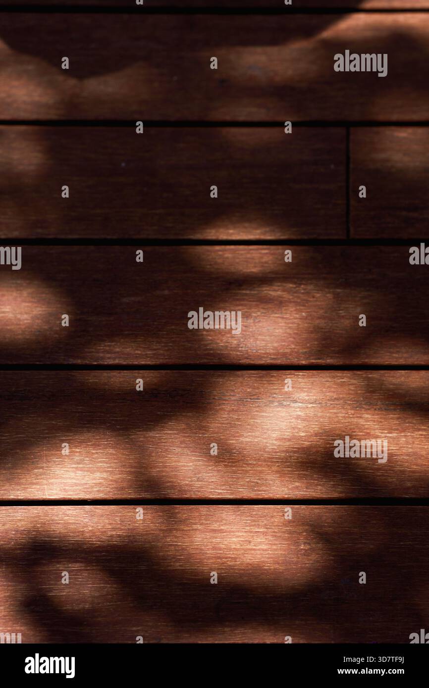 La luce del sole si diffonde sulle tavole di legno. Questo caldo sfondo in legno testurizzato con luce naturale e motivi d'ombra crea un'atmosfera fluida e organica. Ideale Foto Stock
