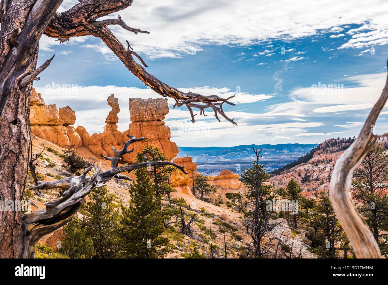 Vivace vista a colori del Bryce Canyon National Park, Utah, che mostra i suoi iconici hoodoos, le torreggianti guglie rocciose e gli ampi paesaggi del canyon Foto Stock