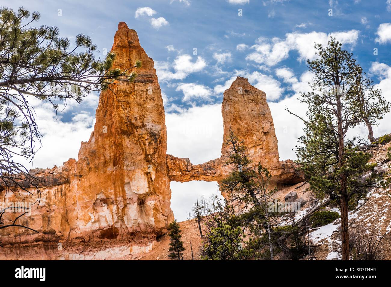 Vivace vista a colori del Bryce Canyon National Park, Utah, che mostra i suoi iconici hoodoos, le torreggianti guglie rocciose e gli ampi paesaggi del canyon Foto Stock