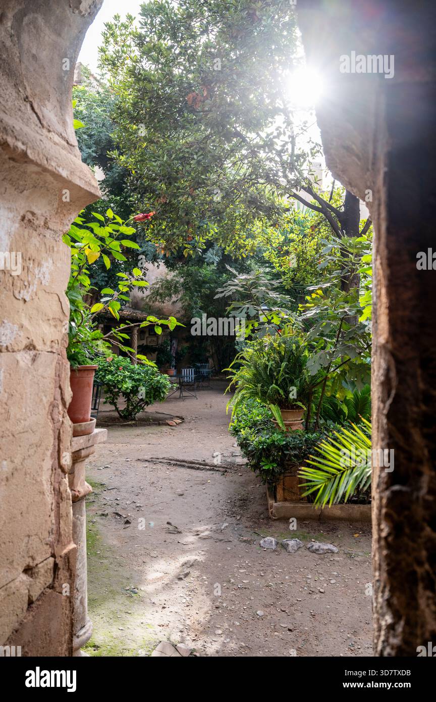 Palma di Maiorca, Baños Arabes, bagni arabi, Banys Arabs, giardini delle terme arabe, Foto Stock