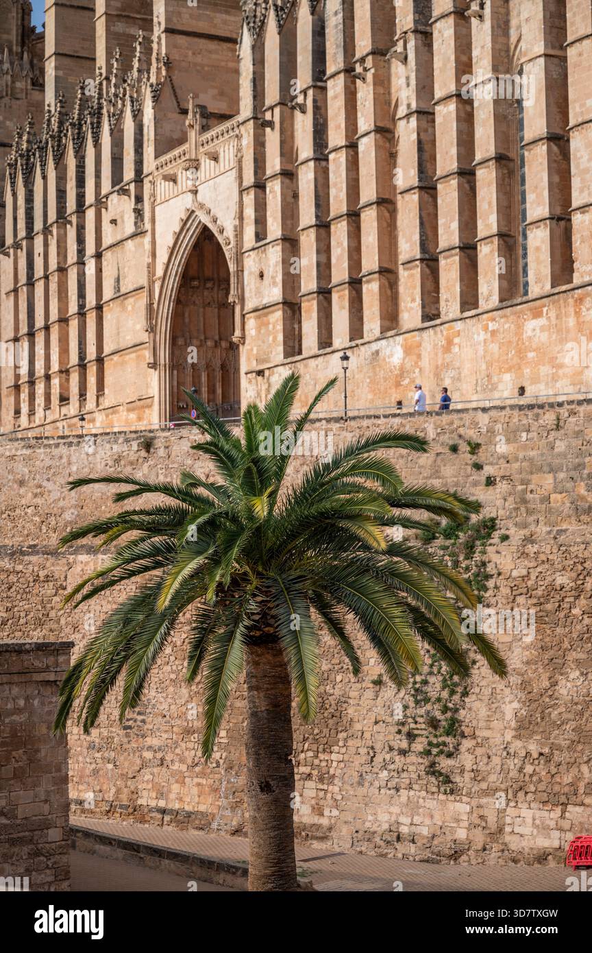 Palma di Maiorca, Cattedrale, Catedral de Mallorca, conosciuta come la Seu. Foto Stock