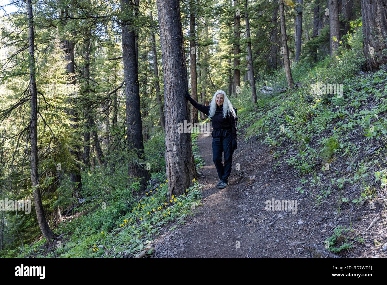 Ritratto di donna sorridente in piedi su un sentiero nella foresta Foto Stock