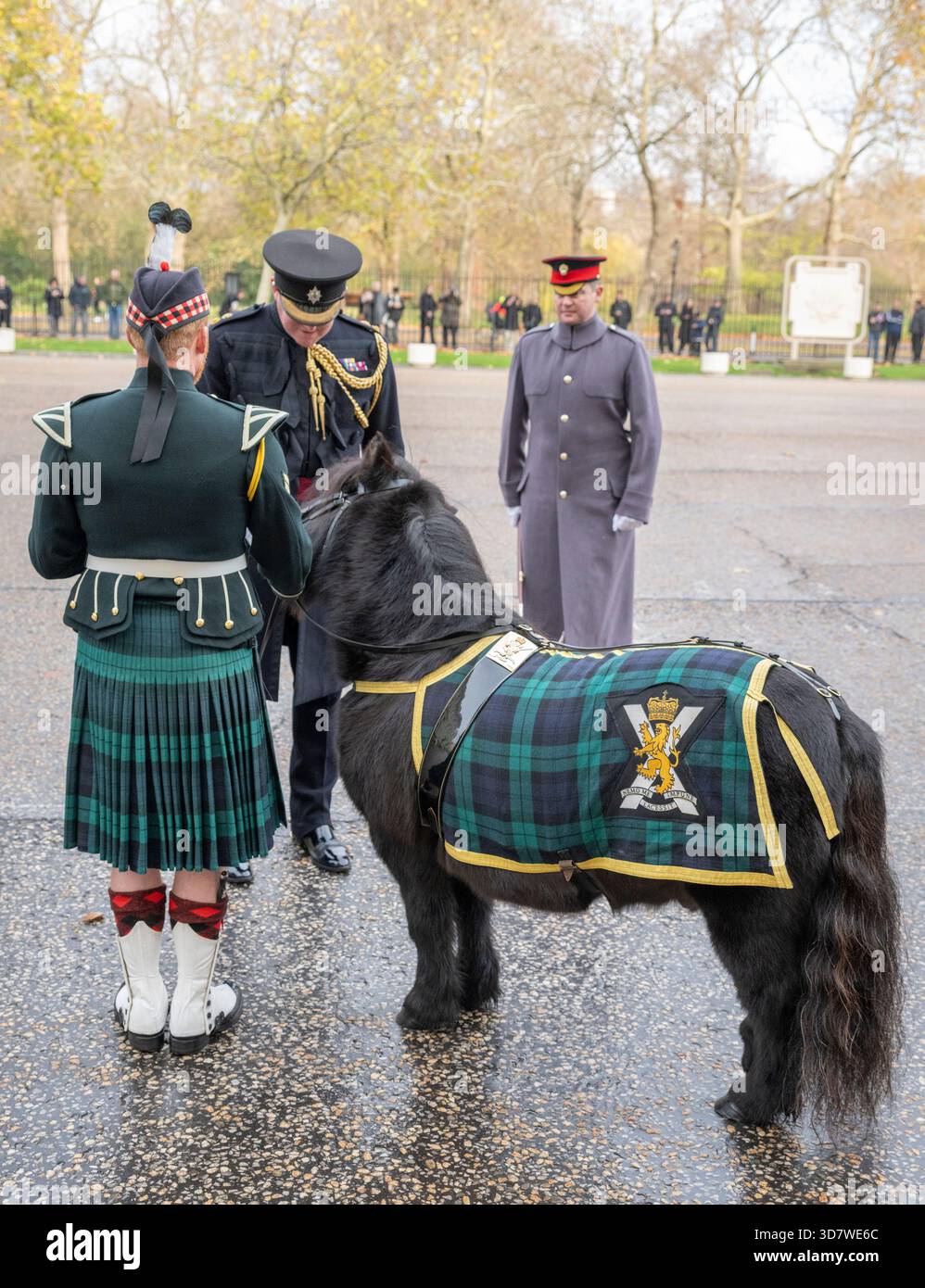 Wellington Barracks, Londra, Regno Unito. 27 novembre 2025. Balaklava Company, 5th Battalion, il Royal Regiment of Scotland viene sottoposto a un'ispezione da parte di alti ufficiali della Household Division prima che iniziino i loro compiti pubblici a Buckingham Palace, St. James's Palace e Castello di Windsor, l'iconica cerimonia del cambio della Guardia e la Torre Guard al loro repertorio. È presente anche la loro mascotte pony delle Shetland, caporale Cruachan IV. Credito: Malcolm Park/Alamy Live News Foto Stock